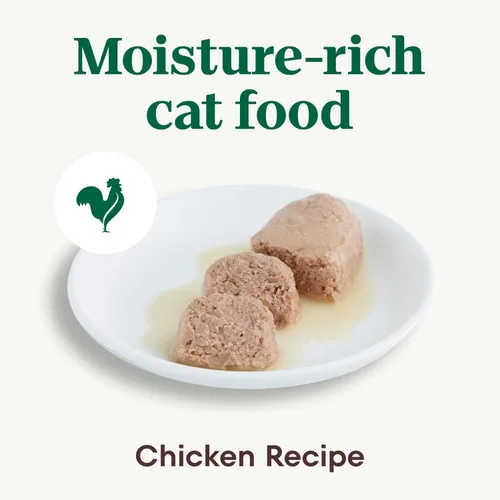 Miniatura 3 de Nutro Perfect Portions Receta de pollo en paté de comida húmeda para gatos, 2.64 onzas, paquete doble (24 unidades, paquete de 1)