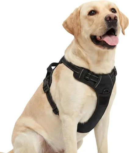 Miniatura 10 de Funfox Arnés para perro sin tirones, chaleco ajustable para mascotas con asa de control y clip frontal, diseño reflectante para perros pequeños