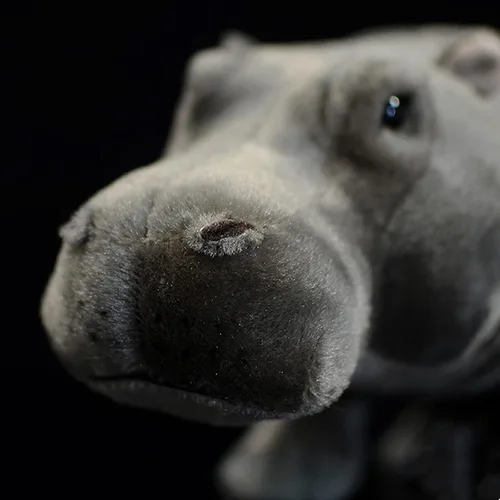 Miniatura 7 de Juguete de peluche realista de hipopótamo, animal de peluche de hipopótamo de 14 pulgadas, animales salvajes suaves, juguetes de peluche únicos