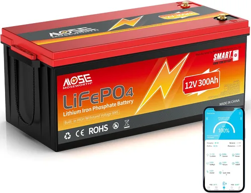 Miniatura 12 de Batería de litio LiFePO4 de 12 V 100 Ah con Bluetooth, BMS integrado, protección a baja temperatura, más de 5000 ciclos, celdas de batería