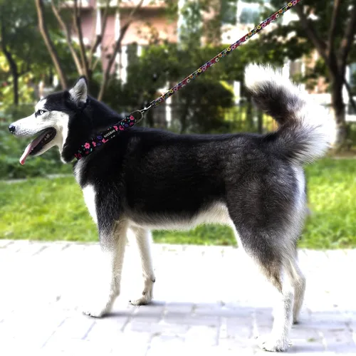 Miniatura 7 de Collar para perros medianos, diseño especial, lindo collar para perritas, suave, ajustable, floral, para cachorros, collares para perros (M, floral)