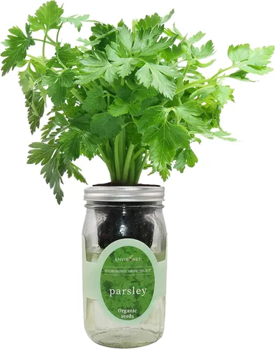Miniatura 11 de Kit de Cultivo Hidropónico, Kit de Inicio de Jardín de Hierbas en Frasco Mason con Autoriego para Interiores, Jardín de Hierbas para Alféizar