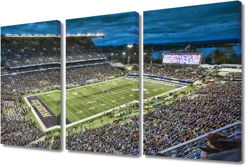 Miniatura 33 de 3 piezas de arte de pared deportivo del equipo de fútbol de los Vikings de Estados Unidos, pinturas de estadios deportivos Minnesota, Estados