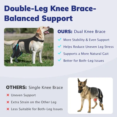 Miniatura 5 de Rodillera para perro para pierna trasera de ACL desgarrada, soporte de pierna de perro con estabilizadores de metal para desgarro CCL, limpado