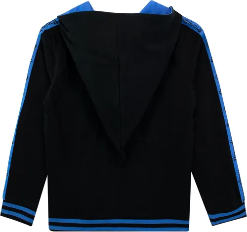 Miniatura 3 de Harry Potter Sudadera con capucha para niños Ravenclaw con capucha puntiaguda