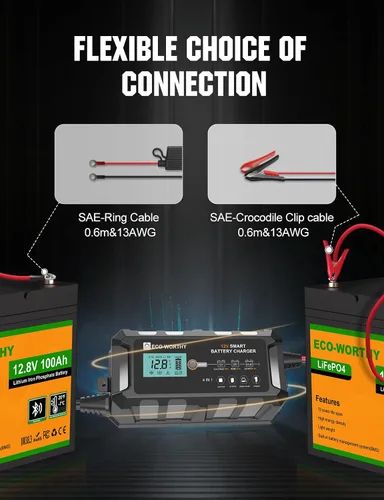Miniatura 9 de ECO-WORTHY Cargador de batería LiFePO4 10A de 12 V, cargador y mantenedor de batería de litio inteligente, cargador de goteo y desulfatador