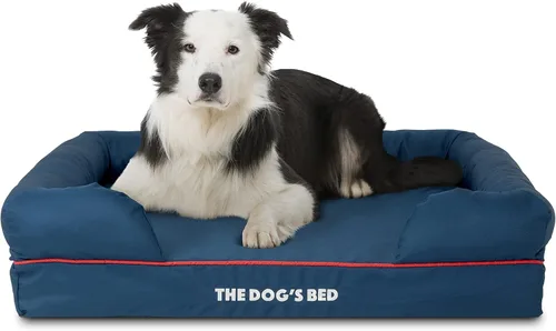 Miniatura 19 de The Dog's Bed - Cama ortopédica de espuma viscoelástica para perros medianos, colchón de soporte de alta densidad, entrada frontal baja, funda negro
