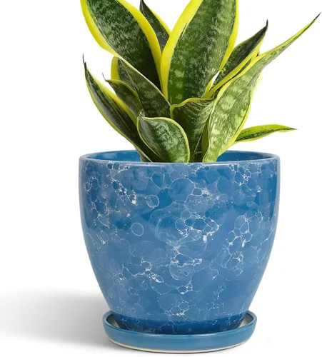 Miniatura 30 de Maceta para Plantas de 6.8 Pulgadas - Maceta de Cerámica con Orificio de Drenaje y Platillo, Maceta Redonda Moderna para Flores, Macetas