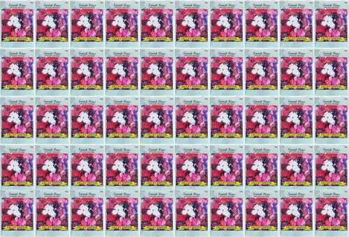 Miniatura 4 de Set de 100 paquetes de semillas de flores! Semillas de flores a granel (100, girasol)