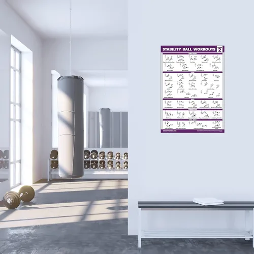 Miniatura 4 de Palace Learning Paquete de 2 ejercicios de entrenamiento de pelota de yoga Volumen 1 y Volumen 2 - Rutina de pelota de estabilidad - Gráficos