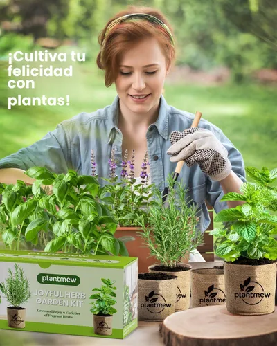 Miniatura 4 de Regalo para mujeres, mamá, ella – Kit de jardín de 9 hierbas para ventana interior Juego completo de semillas de hierbas con macetas, tierra