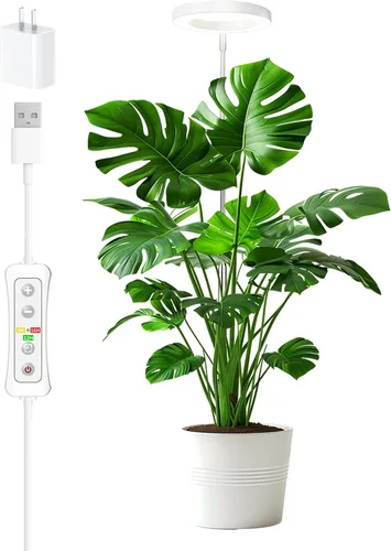 Miniatura 25 de yadoker 72 LEDs Luz de cultivo de plantas para plantas de interior, Luz de escritorio de aluminio con grano de madera de nogal LED, Altura