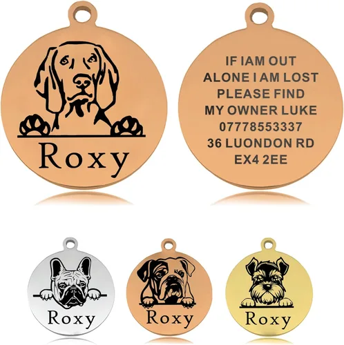 Etiquetas para perros personalizadas para mascotas, etiquetas de nombre personalizadas para perros, etiquetas de identificación de perro de acero