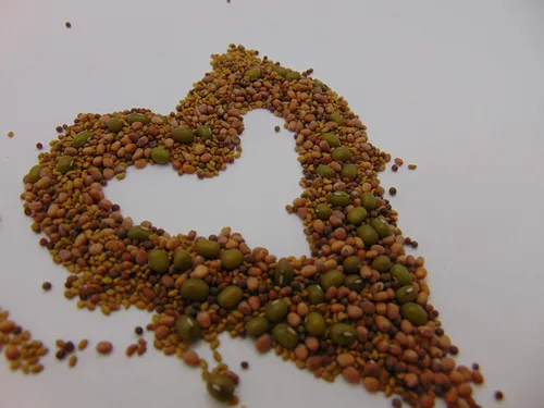 Miniatura 2 de Mezcla de germinación de Megan's de 8 onzas, mezcla perfecta de semillas de germinación de frijol mung, alfalfa, brócoli y rábano, sin OMG, Country