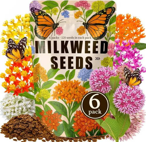Miniatura 9 de Paquete a granel de más de 10000 semillas de Snapdragon, semillas de flores de dragón mixtas de 5 colores para plantar, semillas de Antirrhinum