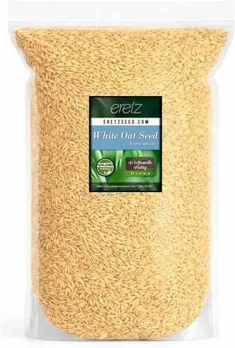 Miniatura 5 de Semilla de avena blanca de Eretz (25 libras) – ¡Elige el tamaño! Granos de avena cultivados en Oregon, sin rellenos, sin recubrimientos, sin