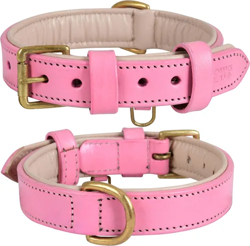 Miniatura 16 de Collar de perro de cuero para perros medianos, marrón, 1 pulgada de ancho, cuero genuino de grano completo, resistente con acolchado interior suave