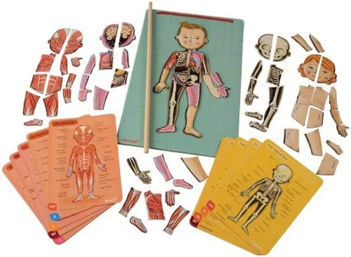 Janod Bodymagnet Juego educativo del cuerpo humano, J05491