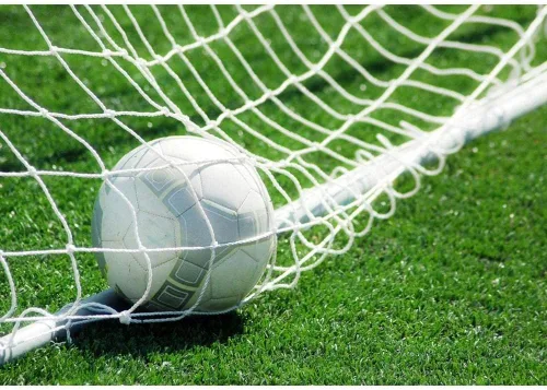 Miniatura 5 de Soccer Net TOPINCN - Redes deportivas de repuesto para Lacrosse y fútbol (6 x 4 pies, 8 x 6 pies, 12 x 6 pies, 24 x 8 pies) (8 x 6 pies)