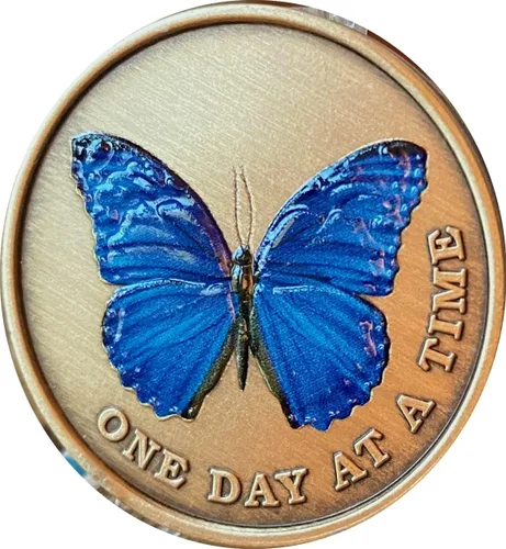 Miniatura 5 de Mariposa de color azul un día a la vez Medallón serenidad oración bronce chip