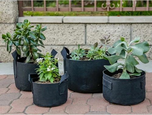 Miniatura 4 de 247Garden Paquete de 2 bolsas de cultivo de 200 galones/macetas de tela de aireación con asas (300 GSM, negro, 24A x 50D)
