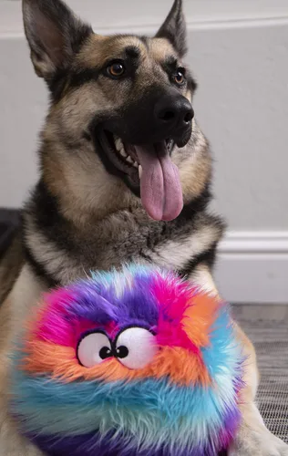 Miniatura 10 de goDog Furballz - Bola de peluche chirriante para perro, tecnología Chew Guard, color arcoíris genial, grande Furballz (arco iris fresco)