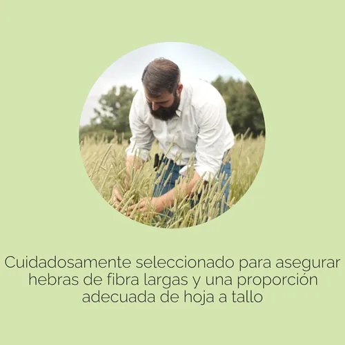 Miniatura 5 de Kaytee Heno Timothy, Alta Fibra, Crecido Específicamente para Animales Pequeños, Conejos, Cobayas, Chinchillas, 2 Libras