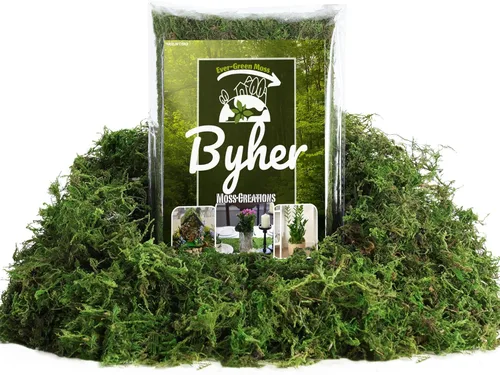 BYHER Musgo falso de 4 onzas, musgo para manualidades y plantas de interior, césped verde artificial realista para jardín de hadas, proyectos de