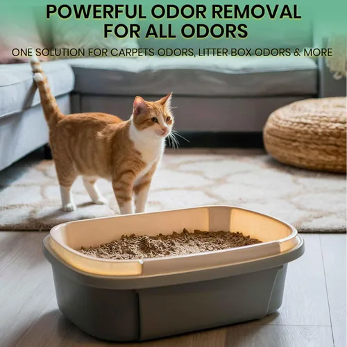 Miniatura 3 de ZORBX Spray removedor de olores de mascotas sin perfume de 16 onzas líquidas – Sin perfume fuerte removedor de olores de arena – Control avanzado