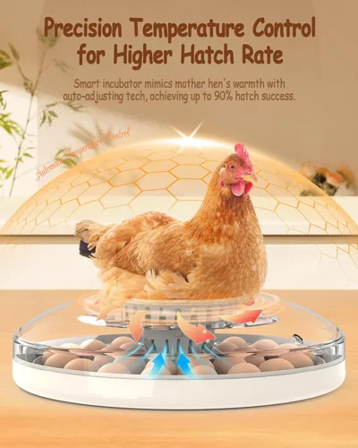 Miniatura 3 de 30 incubadoras de huevos para incubar huevos con girador automático de huevos, control automático de temperatura, velas LED, monitor de humedad
