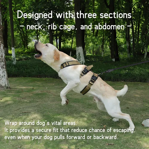 Miniatura 6 de Arnés grande para perro, sin tirones, a prueba de escapes, con asa, 4 hebillas, 2 anillos, acolchado suave, antideslizante, ajustable, arnés