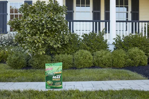 Miniatura 12 de Scotts Green Max Lawn Food, fertilizante para césped y suplemento de hierro para césped más verde, 10,000 pies cuadrados, 33.33 libras.