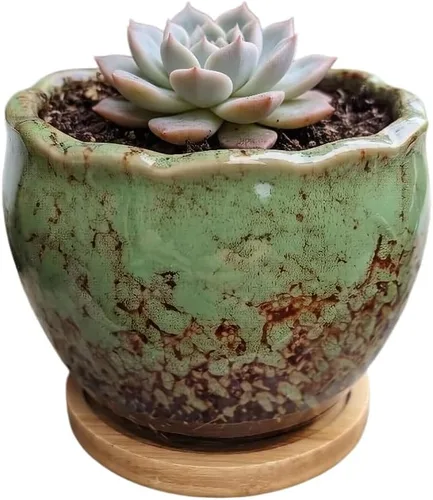 Miniatura 68 de Bonita maceta circular de cerámica para decoración del hogar y jardín, suculentas, cactus, maceta no incluida (azul, 3.19 pulgadas)