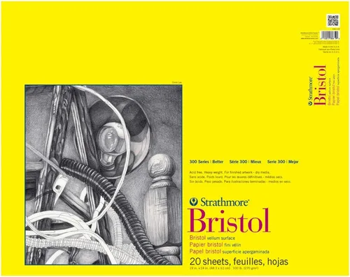 Strathmore Almohadilla Bristol encuadernada con cinta serie 300, superficie de vellum de 100 libras, 19 x 24 pulgadas, blanco, 20 hojas (342-119)
