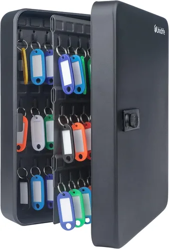 Uniclife Gabinete de llaves de 100 posiciones con cerradura de combinación reiniciable, caja de almacenamiento de seguridad digital negra, Negro