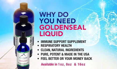 Miniatura 3 de GoldenSeal - Extracto líquido sin alcohol, suplemento natural de raíz GoldenSeal de origen orgánico para digestión, apoyo respiratorio e