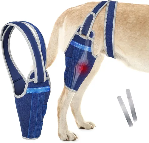 Miniatura 10 de Rodillera para perro para pierna trasera desgarrada del ligamento cruzado anterior, soporte ajustable para pierna trasera con 2 estabilizadores, Azul