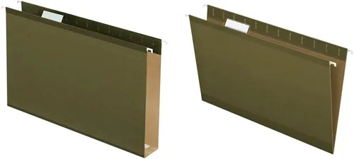 Miniatura 34 de Pendaflex, fólder organizador para colgar, Verde (Standard Green)