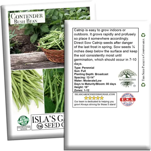 Miniatura 4 de Semillas de frijol Contender Bush (Phaseolus vulgaris) – 50 semillas de reliquia sin OMG de Isla's Garden Seeds, judías verdes de maduración
