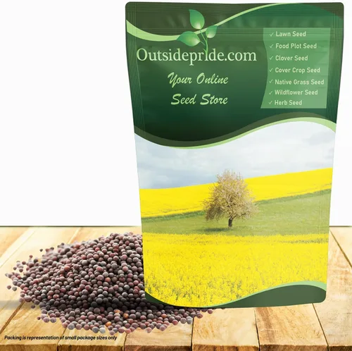 Miniatura 10 de Outsidepride Semillas de mostaza blanca para plantar, semillas de cultivo de cobertura anual de 5 libras con sistema de raíces profundas, forraje