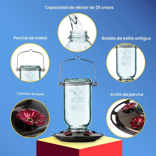 Miniatura 3 de More Birds - Comedero para colibríes de frasco Mason, comederos de vidrio para colibríes para exteriores, 5 estaciones de alimentación, 25 onzas