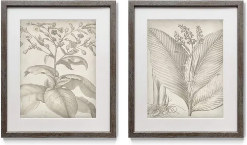 Miniatura 23 de Arte floral para pared, marco rústico de plata envejecida, juego de decoración de pared de 2 piezas: plumeria, caléndula, flores silvestres