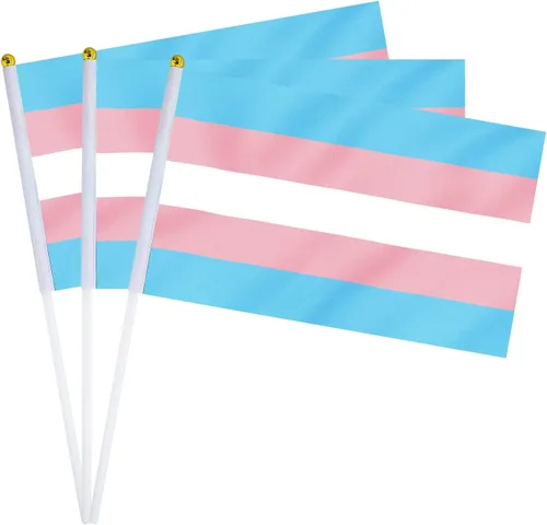 Miniatura 10 de Bandera Lesbiana Pequeña Mini Banderas de Orgullo Lésbico de Mano en Palos para Desfiles Fiestas Festivales Decoraciones Bandera de mano lesbiana