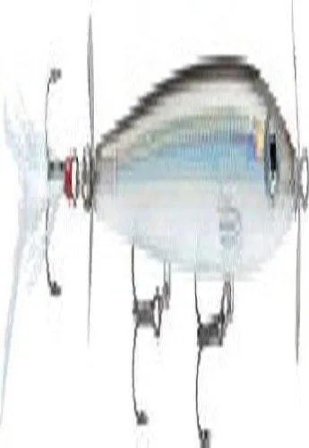 Miniatura 2 de Rapala Rapala X Rap