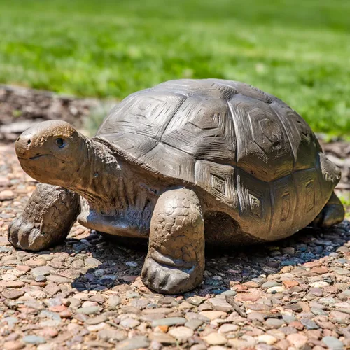 Miniatura 6 de Sunnydaze - Estatua de tortuga de Tanya the Garden – Decoración de jardín de tortuga para patio, césped, decoración de patio, 20 x 12 pulgadas
