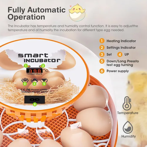 Miniatura 3 de Incubadora de 12 huevos con giro automático de huevos y control de temperatura, adición automática de agua, vela LED de huevos, incubadoras