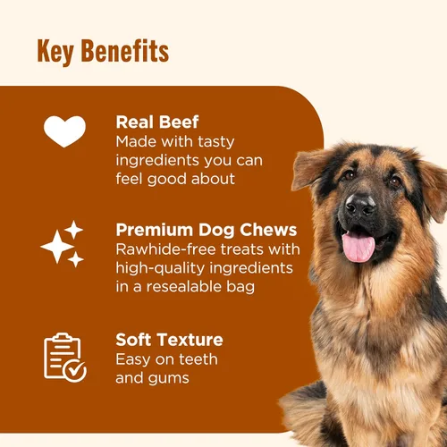 Miniatura 6 de Nutrish Soup Bones Masticables Premium para Perros con Carne de Res Real y Cebada, Relleno de Media Navideña para Perros, 6 Masticables (Rachael Ray)