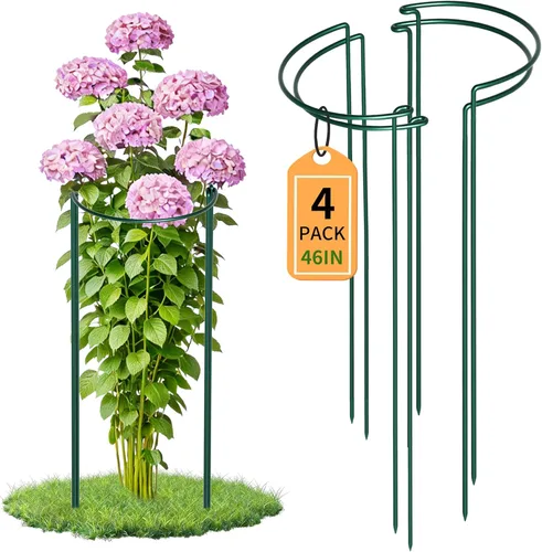 Miniatura 10 de TCBWFY Paquete de 10 estacas de soporte para plantas de peonía, 10 pulgadas de ancho x 24 pulgadas, jaulas de peonía de alta resistencia de 0.177 in