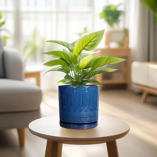 Miniatura 5 de Eightpot Maceta de cerámica de 6 pulgadas para plantas de exterior, maceta de interior con agujeros de drenaje y platillo para suculentas, maceta