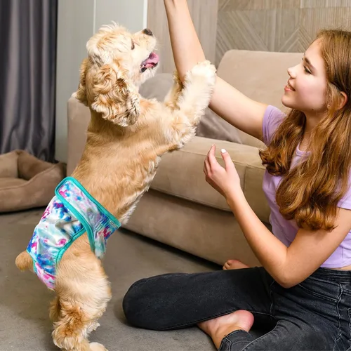 Miniatura 66 de Leekalos Pañales reutilizables lavables para perras, pañales para perras, altamente absorbentes, pañales ajustables para cachorros, pañales